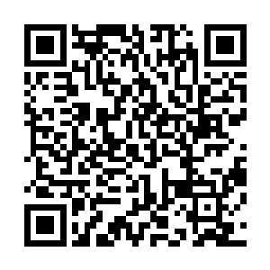 那个死去的护士被他不知怎么就塞进了小车下面的小箱子里二维码生成