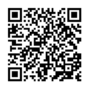 那个比血迹斑斑牢房还要血迹斑斑的女人抬起头来二维码生成