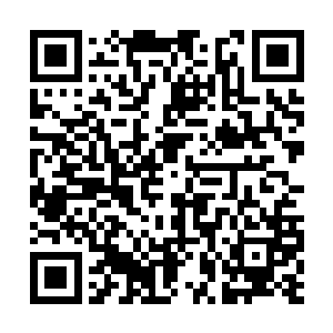 那个沈先生刚才说那话似乎是想要拿修王爷当证人二维码生成