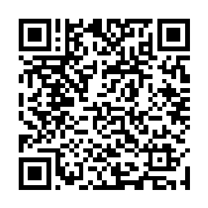 那个混蛋明知道我是不能离开青青草原还故意这么问~二维码生成