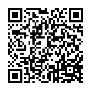 那个渡劫高手的攻击也是不断的砸向夏天藏身的深山二维码生成