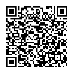 那个炼化了十枚本命晶核的大圆满强者便是被斩杀的血肉重生逃走二维码生成