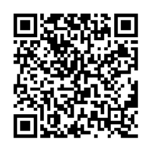 那个男人冰冷的字眼是她这十年来做噩梦的唯一题材二维码生成