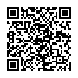 那个男子一边和凶兽战斗一边讲解着跟凶兽战斗的方式二维码生成