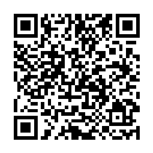 那个疯女人居然也无视了那些看上去就很不错的物品二维码生成