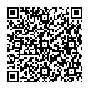 那个白衣少女骄横的扫了还和她在竞价的人抚摸着怀里搂着一个毛茸茸圆滚滚的淡粉色灵兽二维码生成