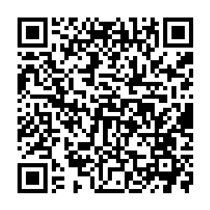 那个看起来萌萌哒的冰雾寒蚕也仿佛忽然感受到了某种让它难以抗拒的东西一样二维码生成