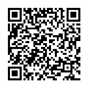 那个穿黑衣服的女人是麦哈尔国际投资公司的总裁李志玲二维码生成