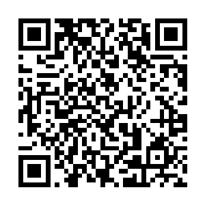 那个笑容可掬的胖子已经托着一盘翠绿色的凉菜进来二维码生成