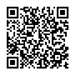 那个笔记本里写的可是我和小秋在……你真是不要脸二维码生成
