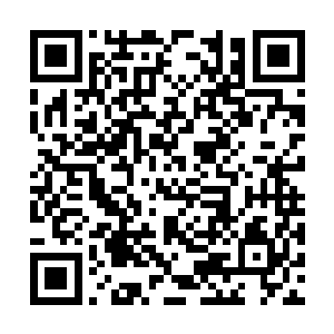 那个第五狱主不会那么麻烦的把两个人分开镇压吧二维码生成