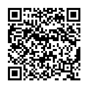 那个精英战士是被一条韧性极佳的树枝击倒在地二维码生成
