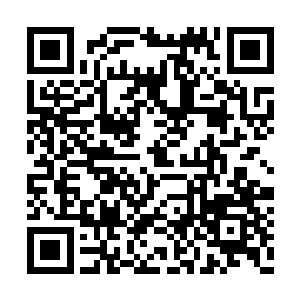 那个老者的目光威严地从一个个修士的身上掠过二维码生成