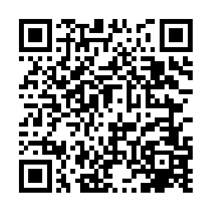 那个脖子上带着一群一串骨珠的骑士却叹了一口气二维码生成