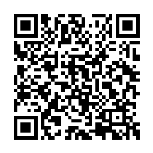 那个臻天高手直接重重的摔在了远处的一堵墙上二维码生成