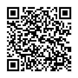 那个花株是以为秋松仙人对天露的珍贵程度还没有亲身的了解二维码生成