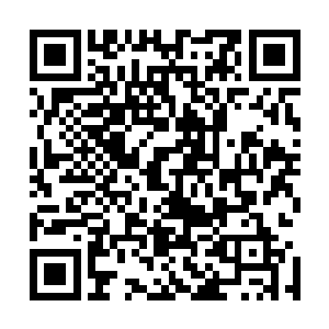 那个荷官发牌的时候都是故意掀开牌之后再发到他们的手中二维码生成