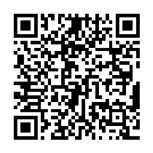 那个被安老点到名的叫小张的医生没想到安老会突然点到自己二维码生成