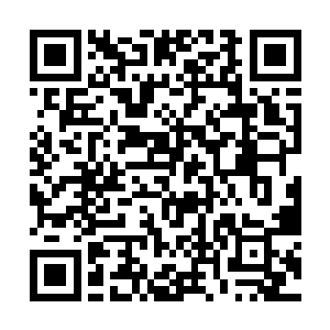 那个被掩藏已久的念头却如雨后春笋般开始疯狂拔高二维码生成