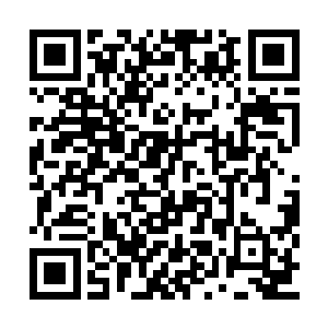 那个被辰打得半死的克里斯也同样被光球笼罩着二维码生成