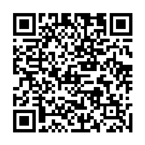 那个财政局长曾经是前市委书记蒋文山的左膀右臂二维码生成