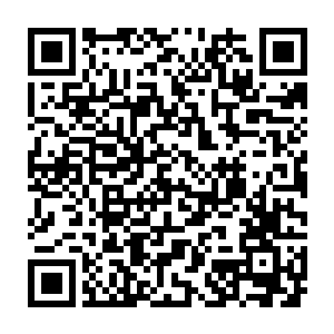 那个邱夷……似乎是台上那家伙的同伴吧……他们穿着相同的战斗服呢二维码生成