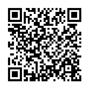 那个金甲战将望着许紫烟的目光渐渐地变得崇敬二维码生成