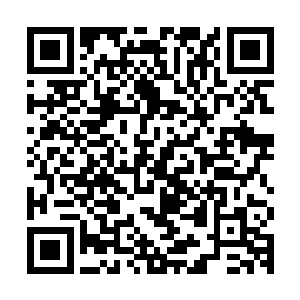 那个金鞘短刀汉子和身边两个魁梧男子都觉得保准是两颗软柿子二维码生成