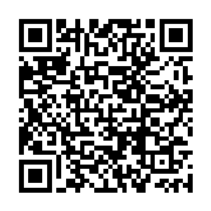 那个银弓男人也如电般穿过了哨兵机甲打出的通道二维码生成