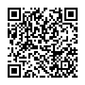 那个锦城苑的侍卫小头领又被夜修独挡在了府门外二维码生成