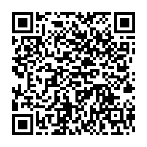 那个长相猥琐的中年人刚刚说完身后的那个大汉顿时有些惊讶的说道二维码生成