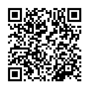 那个随从就把萨古利桌子面前的一块红色的水晶拿了过来二维码生成