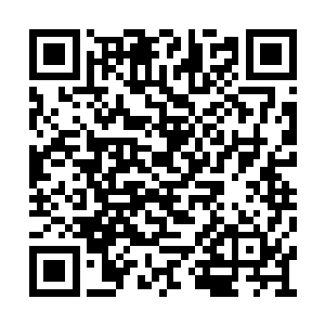 那个青色的羽毛也为金无敌布设了一个时间阵法二维码生成