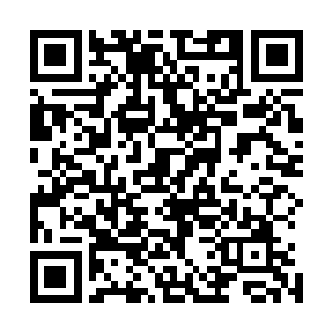 那个颐指气使的赵妈带着几个丫鬟过来给他送了一身新郎服二维码生成