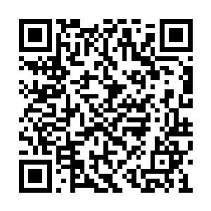 那个鬼一定是为了要自己发现这些钱才出现的吧二维码生成