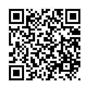 那丫鬟着念念的眼神却透着一股凌厉二维码生成