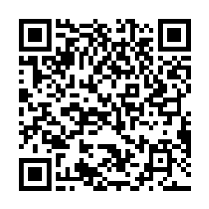 那中央竟被灼烧出了一片丈许大小的普通灰褐色土壤来二维码生成