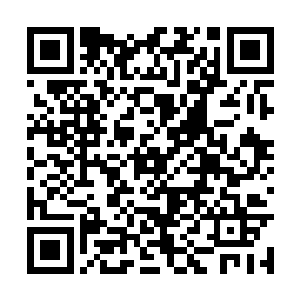 那中年蛇妖所化的血色巨蟒也出现在了楚旬的面前二维码生成