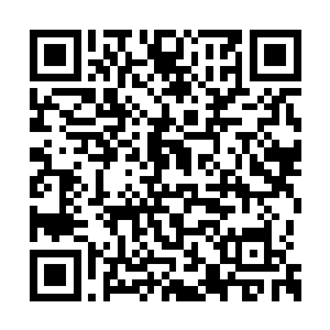 那中心之处的雷霆和梅花突然爆射出璀璨的光芒二维码生成