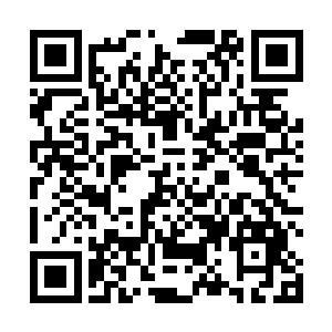 那临海大学就算是与这个张大导演紧紧地绑在一起了啊二维码生成