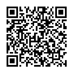 那为何还要抓住这些本就知晓会发生的事情不放呢二维码生成