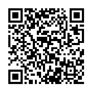 那主公可以号召麾下文武以及洛阳城中各大世族二维码生成