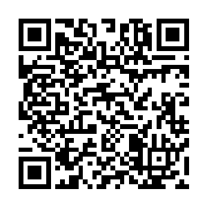 那么……苏小爱下一刻就会知道你曾经对她做过的那些事情二维码生成