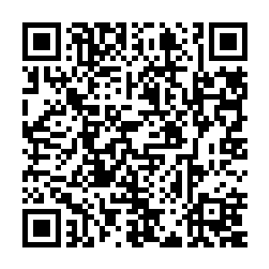 那么一万只小虫子在大脑里面蠕动的后果一想想都是令人不寒而栗二维码生成