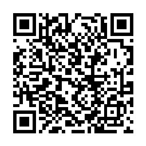 那么两个就有绝对的信心在最短的时间内将其斩杀二维码生成