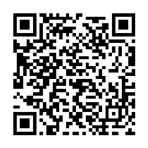 那么也就只能让庞四海去硬抗实力强横的李无花了二维码生成