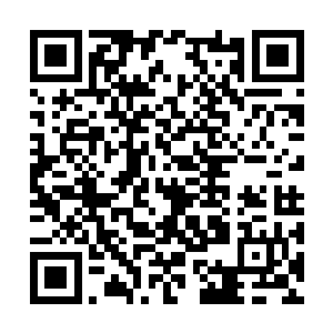 那么也就意味着对方跟白谦心学习炼丹的时间不长二维码生成