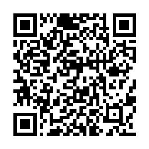 那么也就是说自己已经可以得到那一百万的悬赏二维码生成