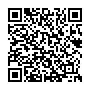 那么从天空之城到西南联盟那半壁人域中的人们二维码生成
