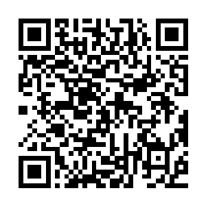 那么他也就很有可能会被误认为是跟凶手封九重有很大关系之人二维码生成